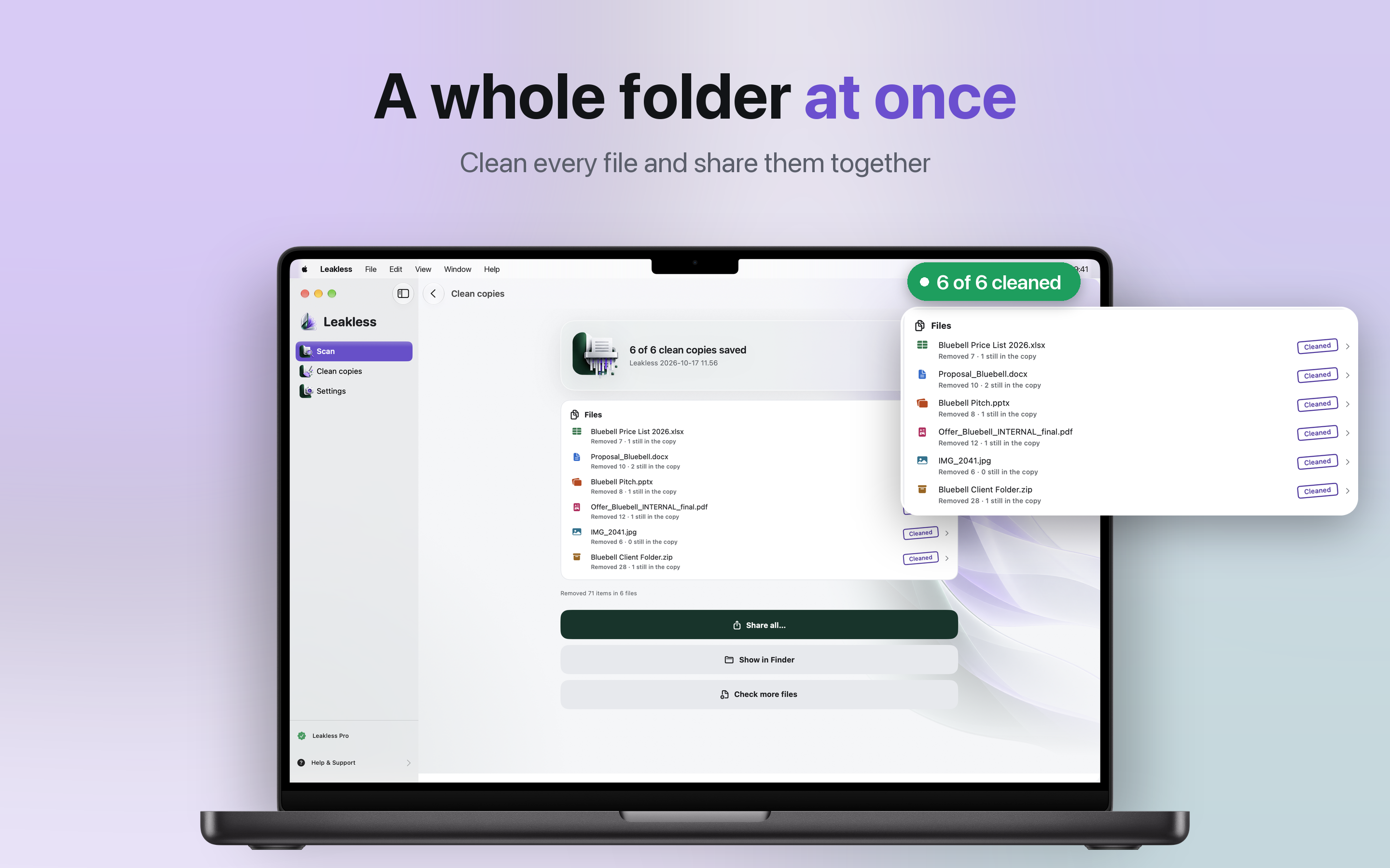 Leakless cleaning six files at once: a spreadsheet, a Word proposal, a pitch deck, a PDF, a photo and a ZIP folder